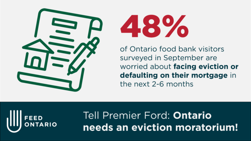 A Feed Ontario poster showing results of a survey