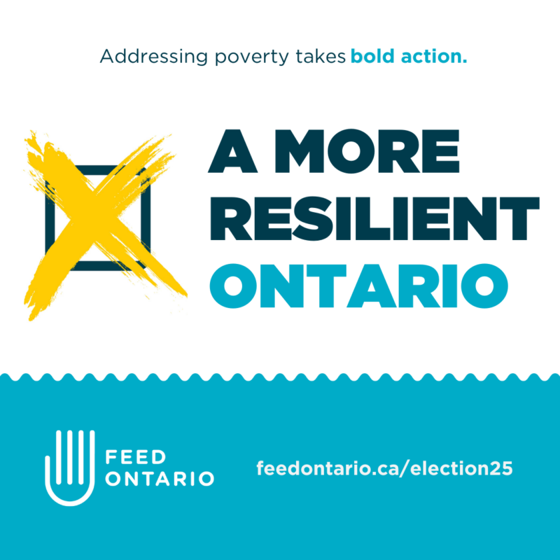 Navy text over a white background: "Addressing poverty takes bold action. A more resilient Ontario." A navy voting check box with a yellow X drawn through it. White text over light blue background: "Feed Ontario. feedontario.ca/election25"