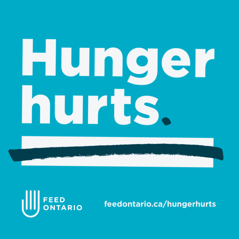 White text over a blue graphic reads: "Hunger hurts."
