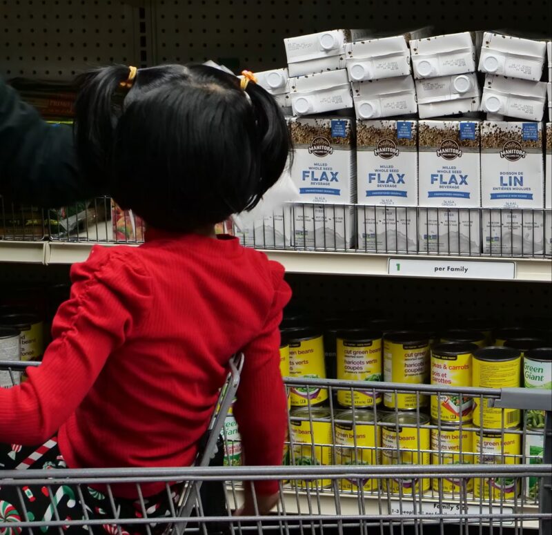 A child sits in a shopping cart at a food bank.