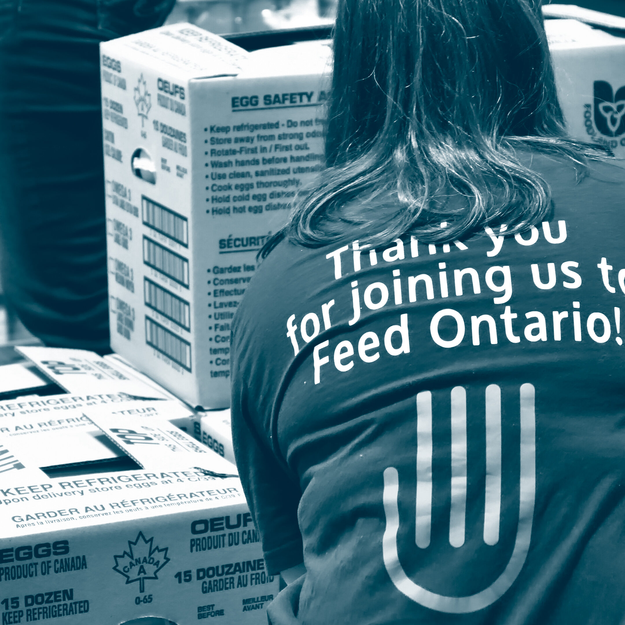 FEED_AmandaPEggBoxes